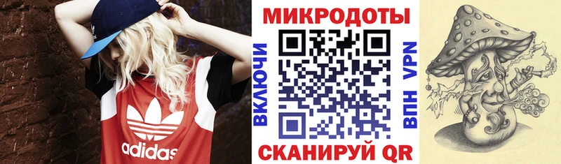 Галлюциногенные грибы GOLDEN TEACHER  Купить  Лабинск 